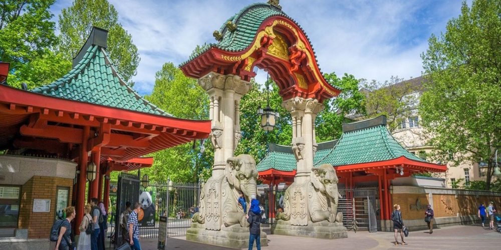 Zoological-mt Zoological-mt